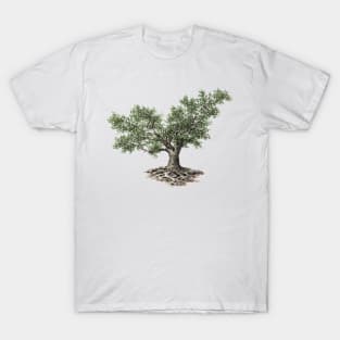 May birthday fig tree T-Shirt